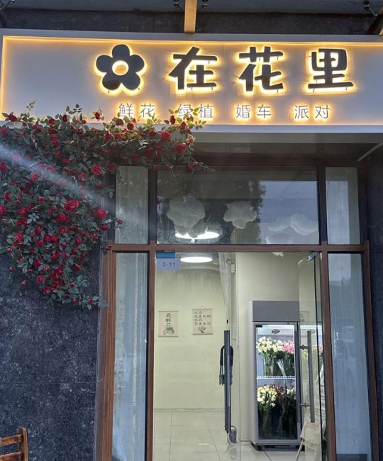 樟树市花店选购指南：如何科学甄别优质花卉供应商
