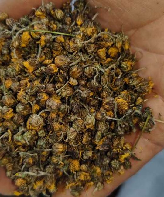 菊花的价格多少钱一斤？2026年干菊花行情参考区间与选购指南