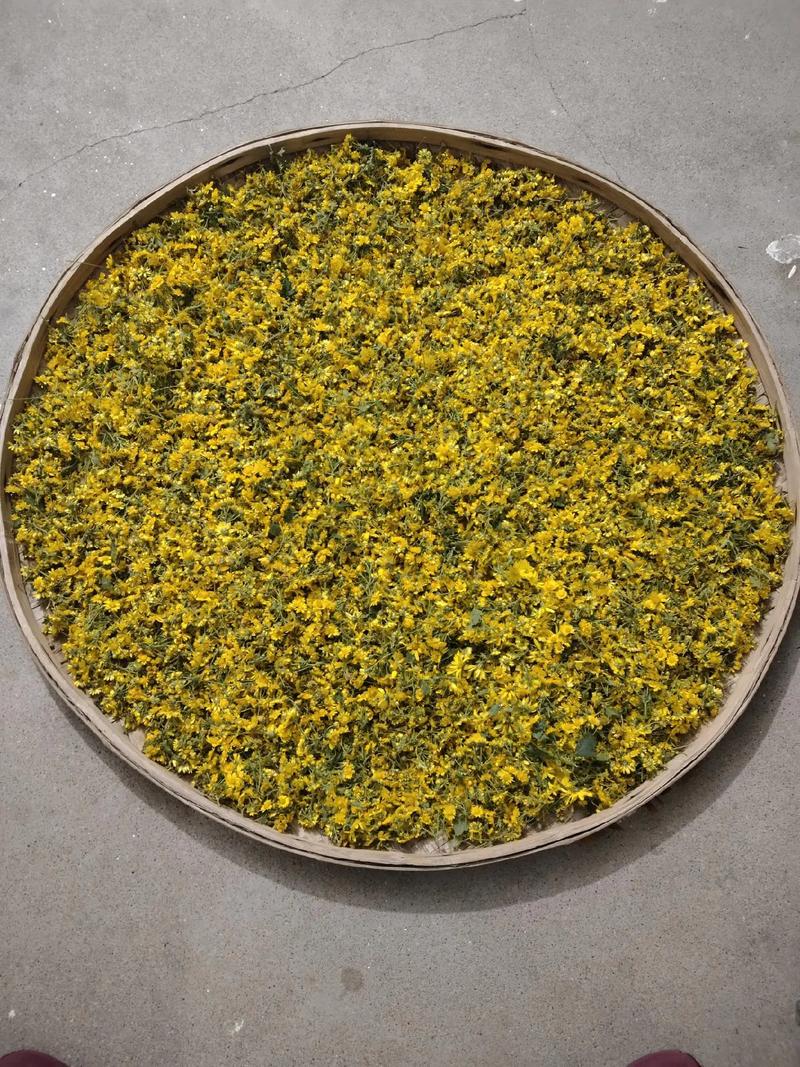 菊花的价格多少钱一斤?2026年干菊花行情参考区间与选购指南 数量:批量采购折扣梯度明显