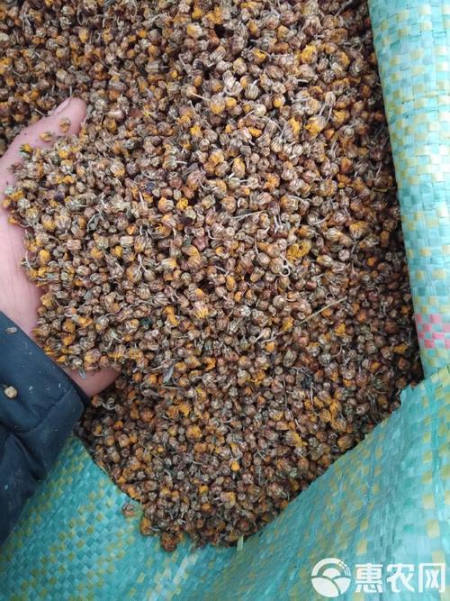 菊花的价格多少钱一斤?2026年干菊花行情参考区间与选购指南 参考区间汇总表
