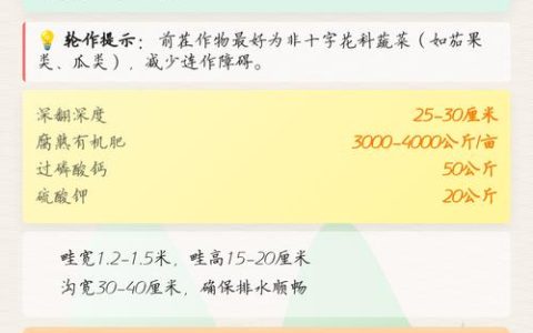 抱子甘蓝的种植方法和时间：从选种到收获的全流程实战指南
