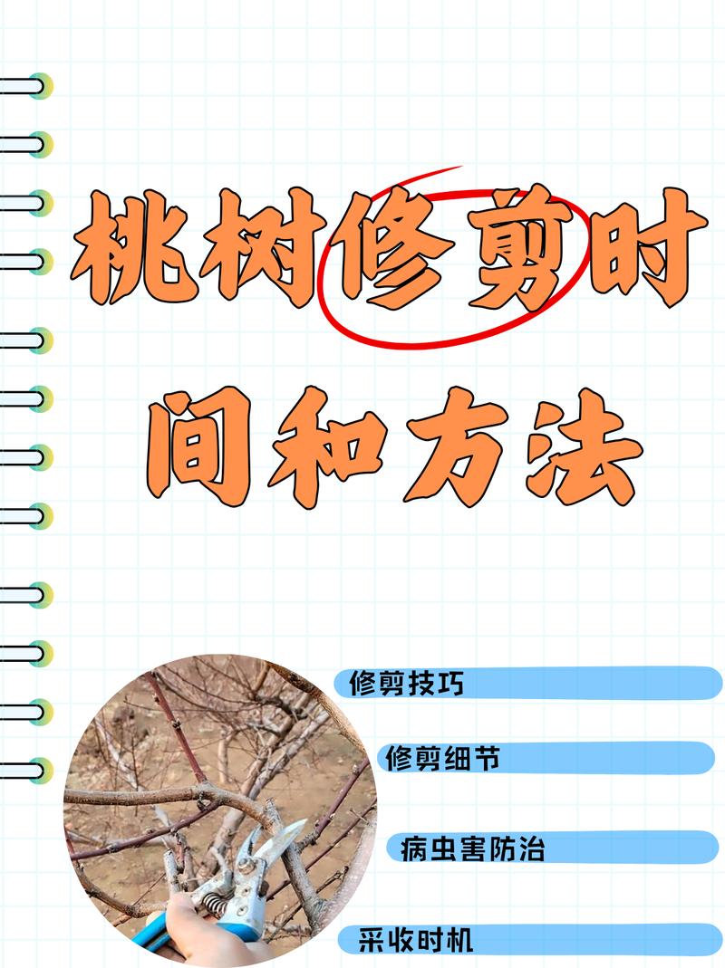桃树开花期能修剪吗?花期修剪的风险与安全操作指南 二、影响开花结果的关键因素与修剪的关联