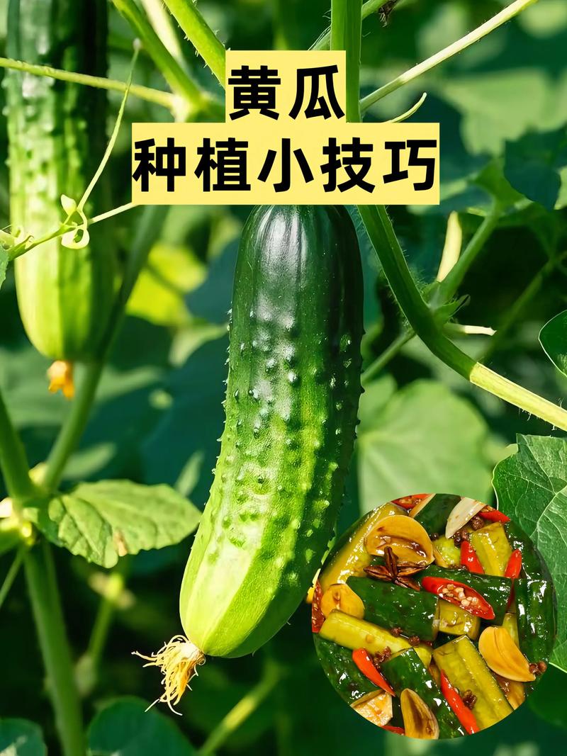 一、适宜时间