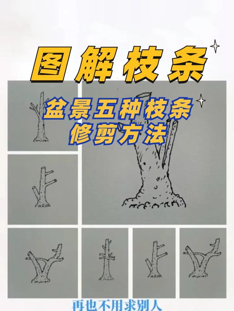 樱花树怎么修剪才好看?掌握家庭养护六要素,轻松塑造自然树形 越冬越夏:护好根颈,极端天气少折腾