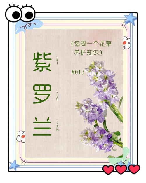 促花促观赏期养护步骤（可执行操作）