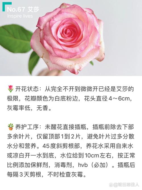 总结