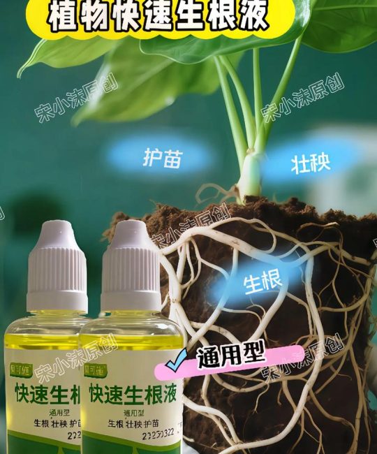 水稻秧苗能用生根剂吗？科学解析与实用指南