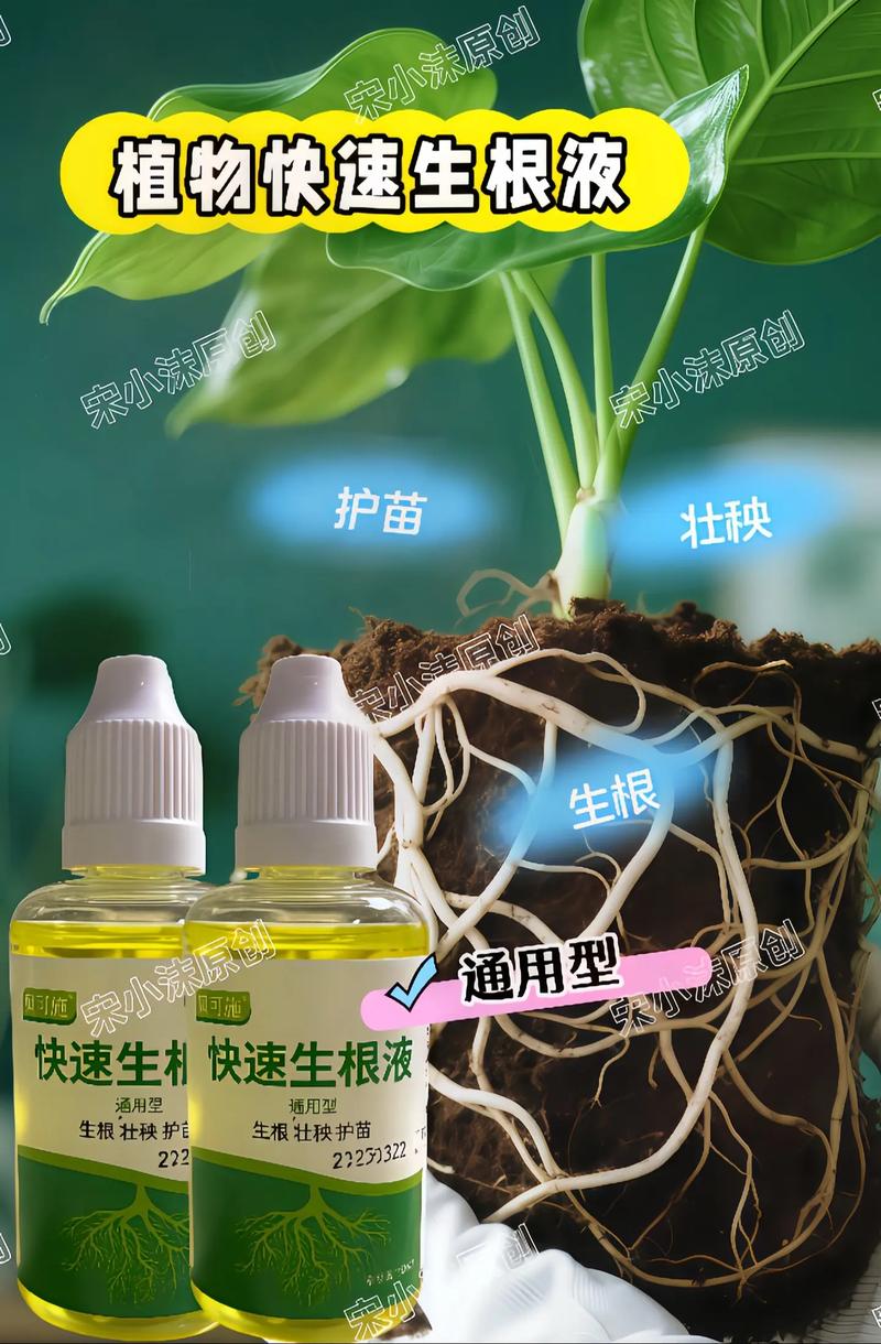 一、生根剂的作用原理