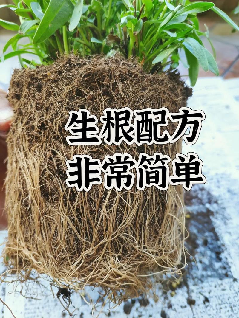 三、正确使用方法