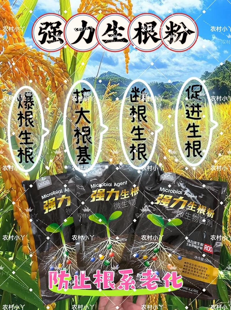 四、常见误区