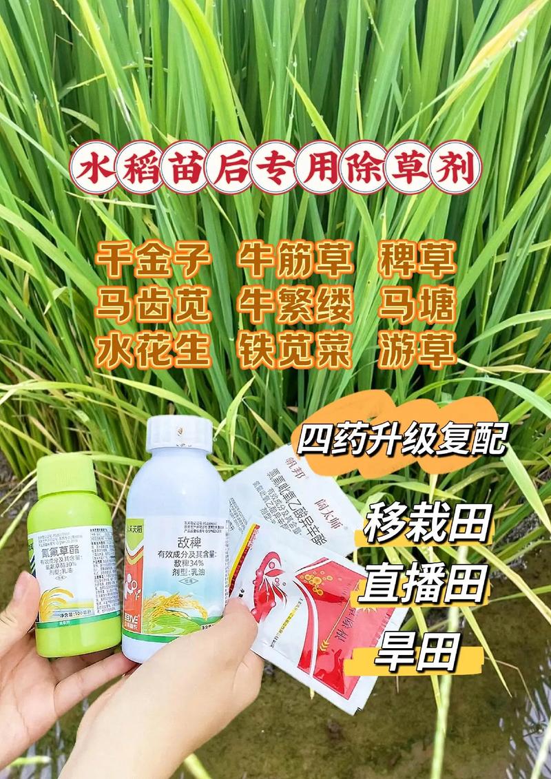 五、结论：科学使用，效果显著