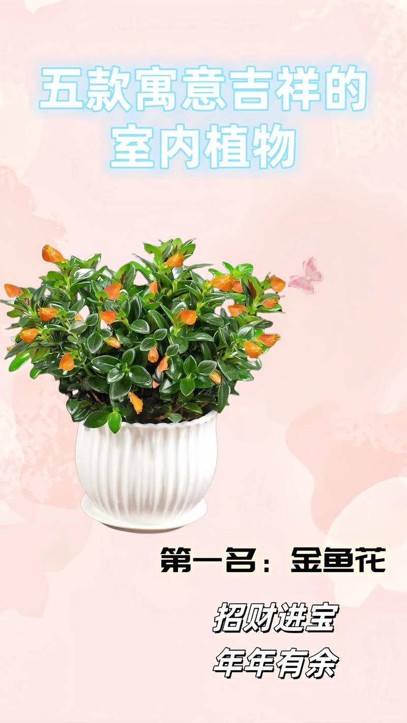 属猴养什么花带来好运和财运？园艺达人的吉祥植物推荐