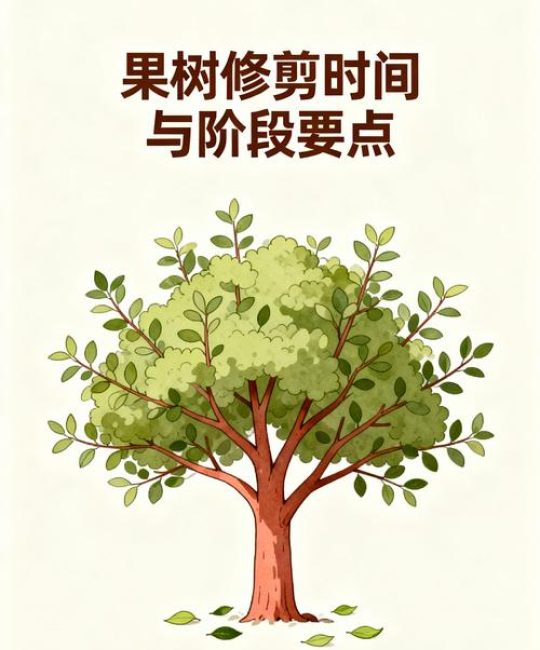 果树修剪的最佳时间与全年操作指南