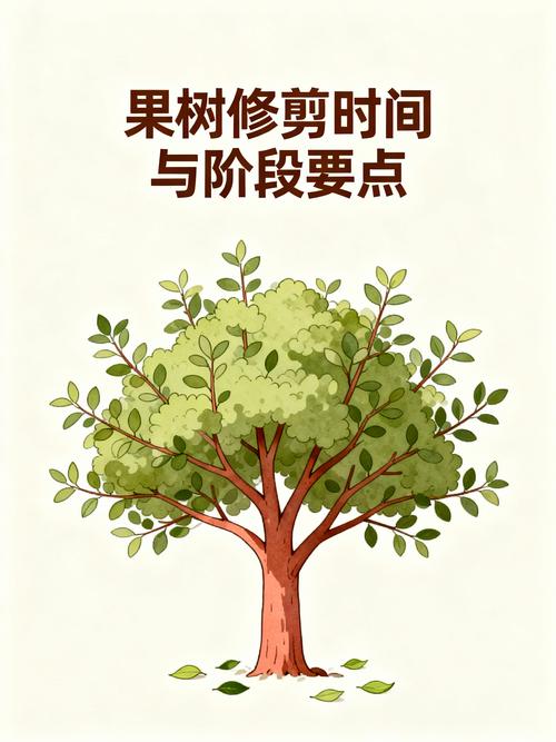 果树修剪的最佳时间与全年操作指南