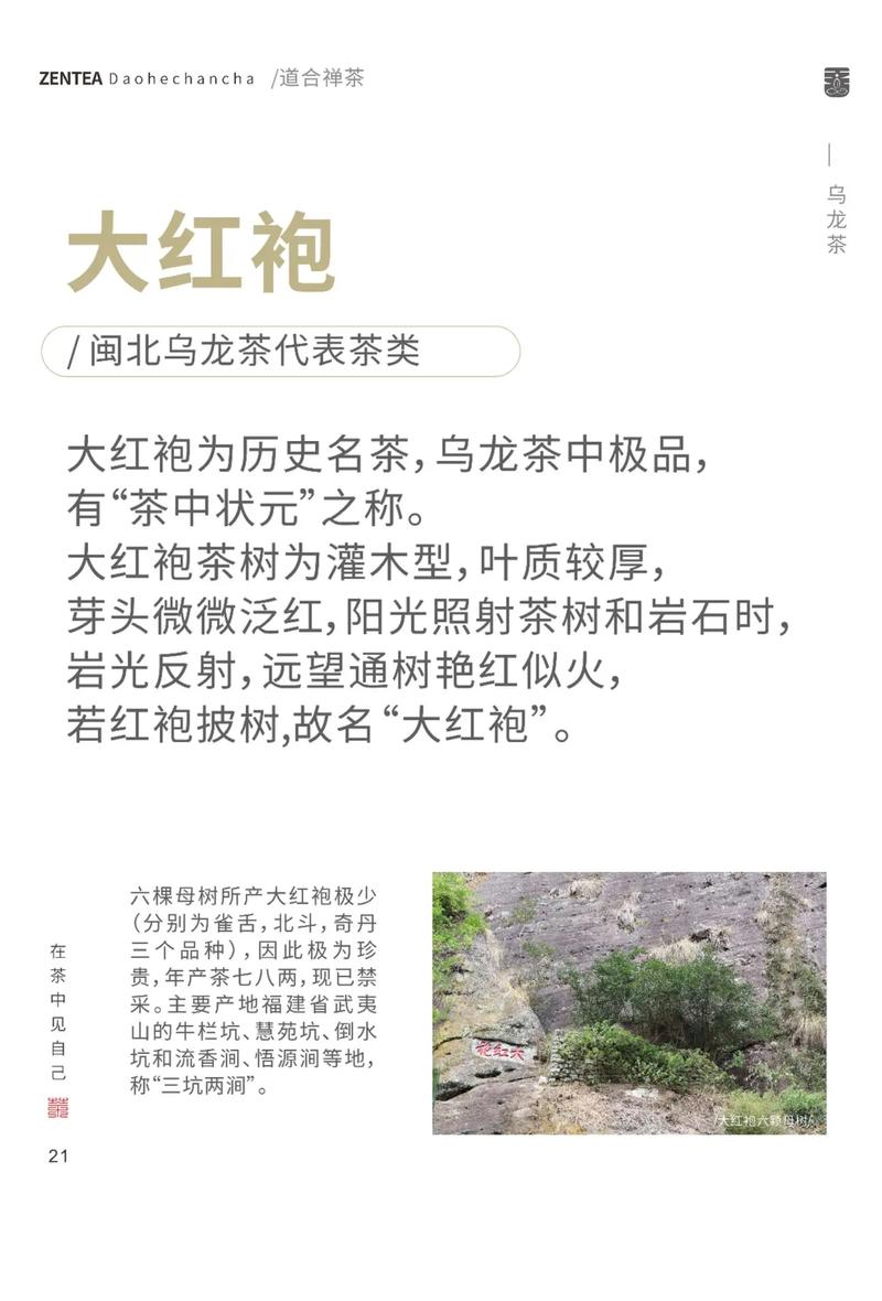 大红袍母树价格参考:2025年茶苗与茶叶行情全解析 运输因素:物流成本占10%-30%