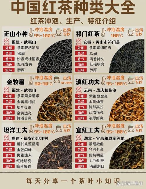 大红袍母树价格参考:2025年茶苗与茶叶行情全解析 咨询指南:如何获取您的专属报价?
