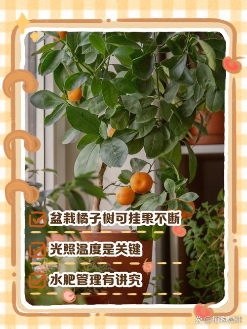 三、常见问题与风险预警