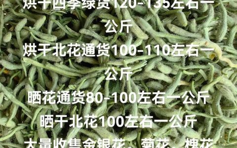 2024年金银花市场价格是多少钱一斤？最新报价与影响因素全解析