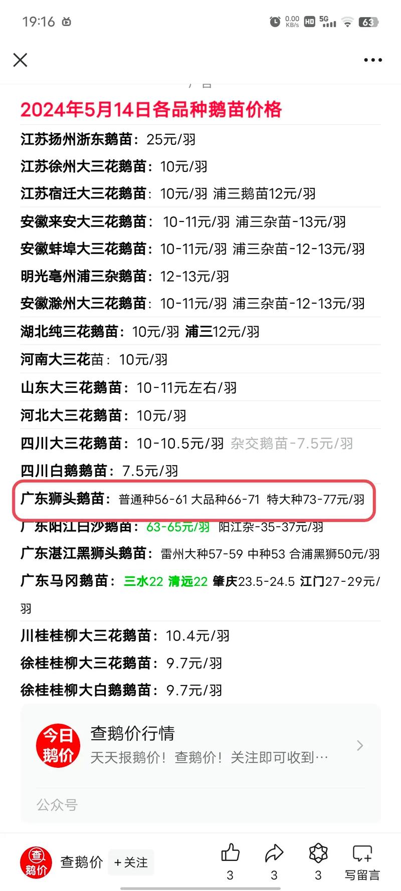 真正的狮头鹅苗多少钱一只?2025年最新价格参考与影响因素分析 数量:批量采购可享受阶梯折扣