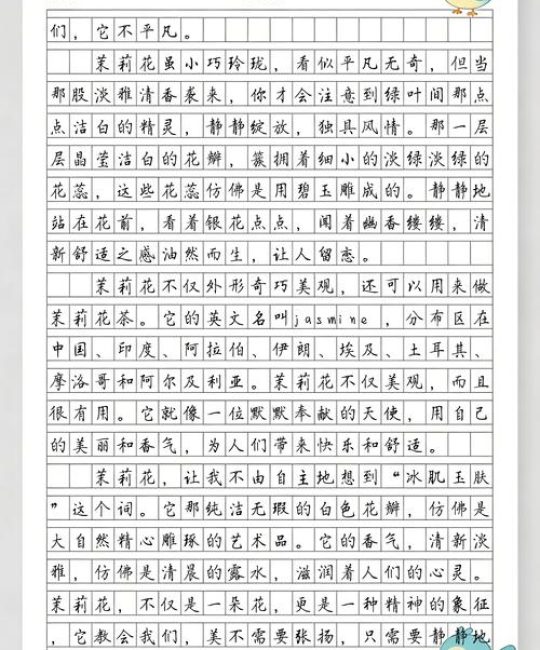 茉莉花：从香气到养护，一篇读懂这位“人间第一香”