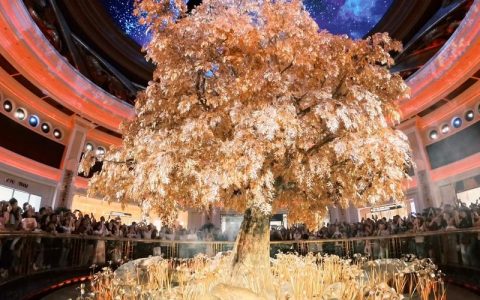 澳门永利发财树价值多少钱？价格影响因素与选购指南