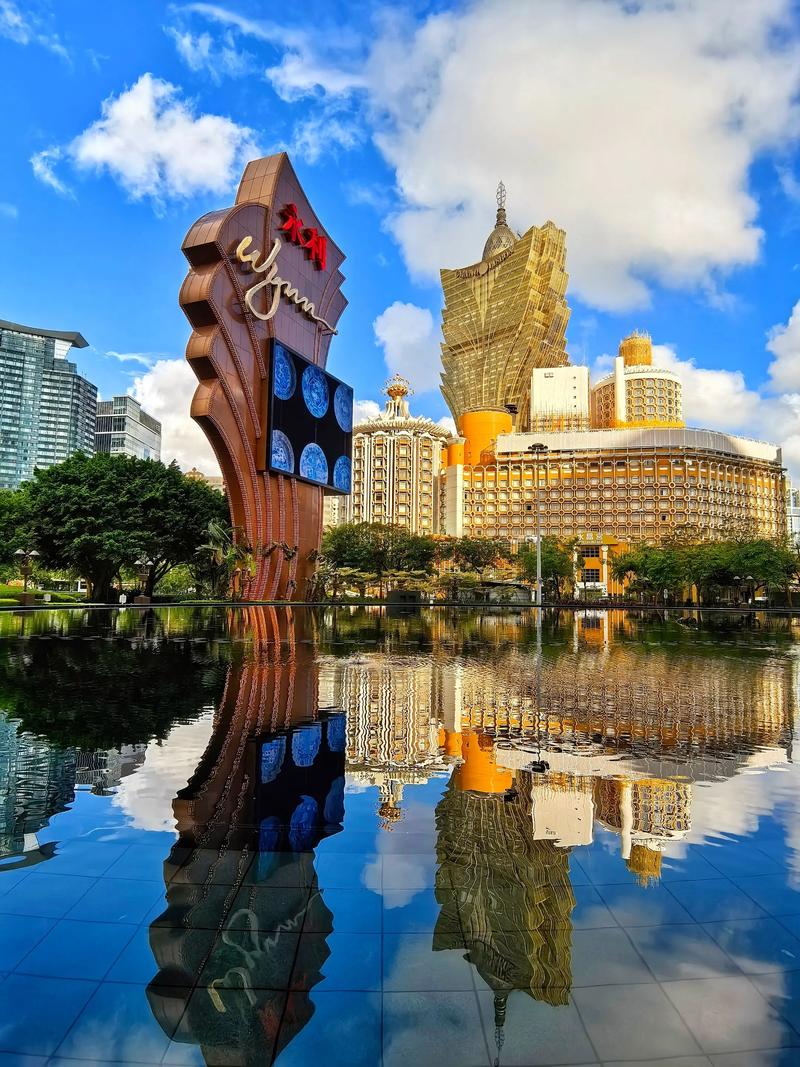 澳门永利发财树价值多少钱?价格影响因素与选购指南 规格与造型:价格的核心决定因素