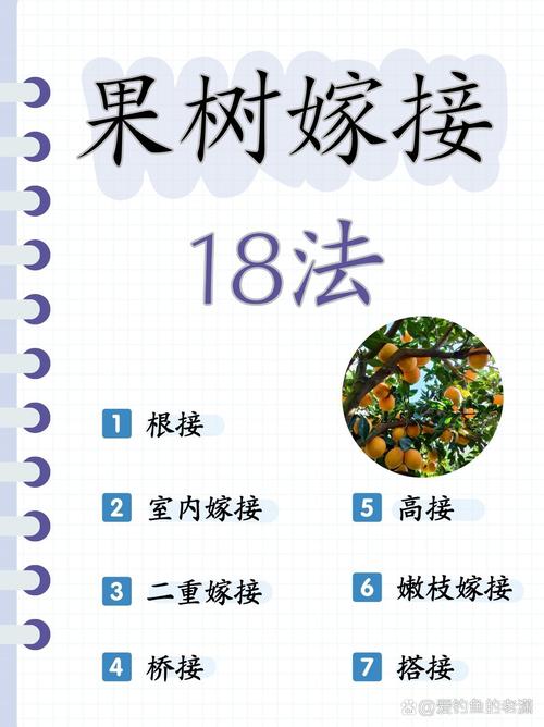香橼树嫁接果树指南:最佳砧穗组合与操作技术详解 成活率影响因素分析:品种差异与失败诊断