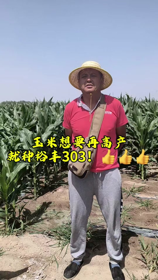 玉米可以重茬种植吗?重茬种植全流程技术指南 3. 栽前处理(种子处理)