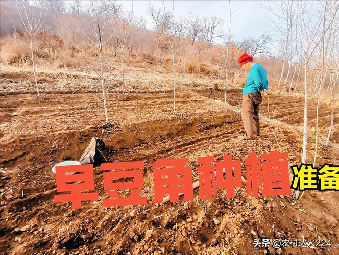 玉米可以重茬种植吗?重茬种植全流程技术指南 4. 栽植深度