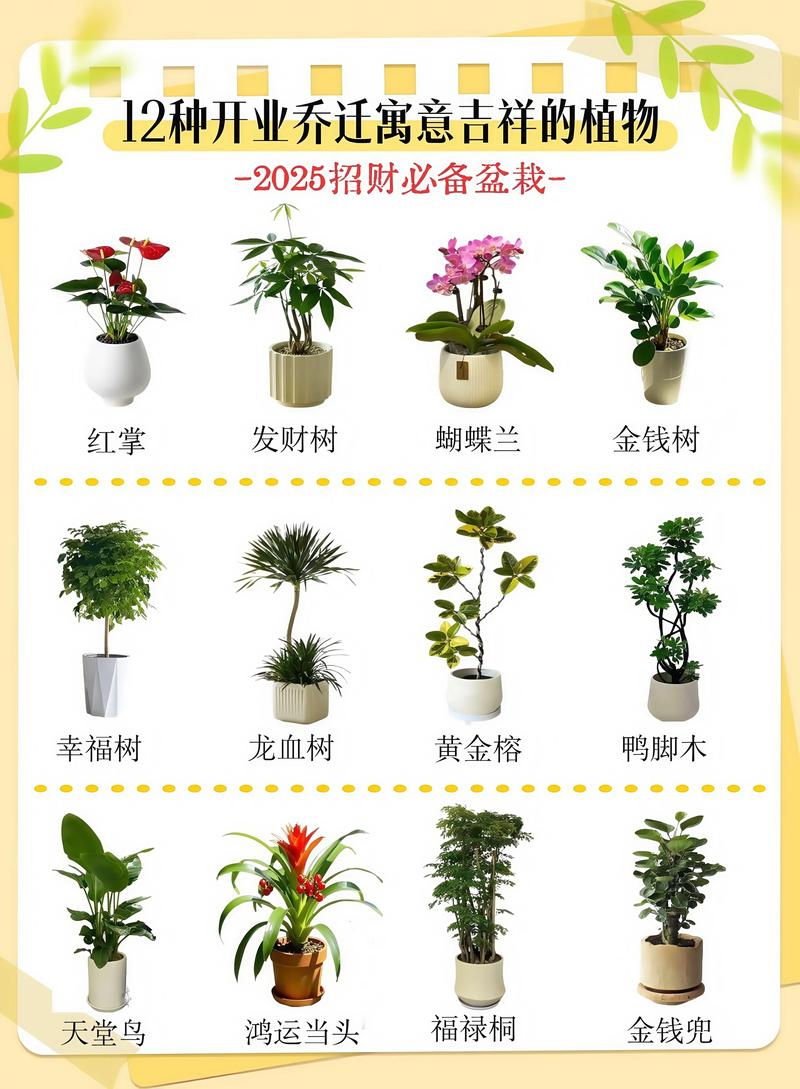鸿运当头花摆放哪里聚财?掌握这几点,旺宅又招财 一、客厅财位:聚财的最佳位置