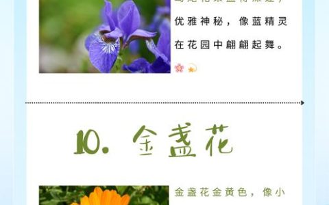 春天的花的特点是什么？解读春季花卉的共性与魅力