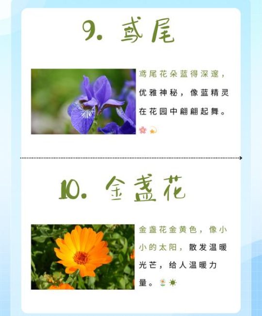 春天的花的特点是什么？解读春季花卉的共性与魅力