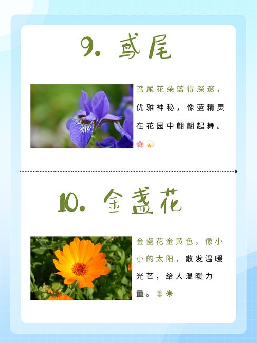 春天的花的特点是什么?解读春季花卉的共性与魅力 春天的花的特点是什么?解读春季花卉的共性与魅力