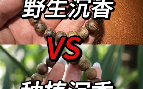 天然沉香和种植沉香的区别在哪里？选购必知的5大关键差异