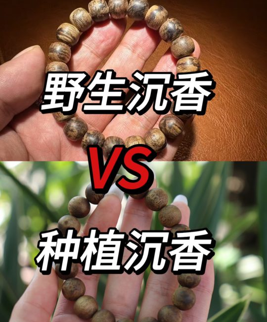 天然沉香和种植沉香的区别在哪里？选购必知的5大关键差异
