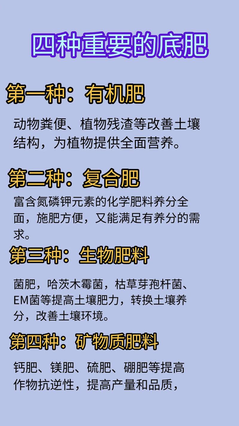 果树苗现在该施什么肥料?2026年最新施肥方案与操作步骤 总结验证