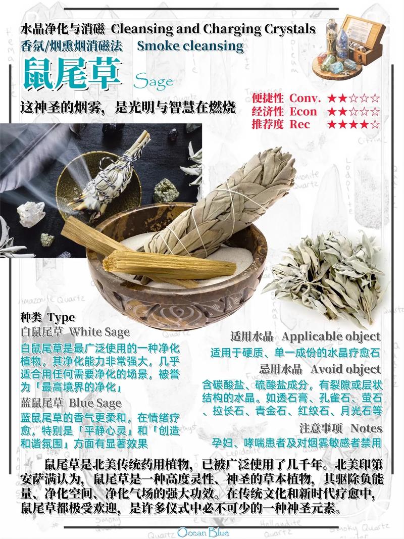 鼠尾草怎么净化?从空气到土壤,全方位解析它的园艺净化力 三、驱虫防病:天然气味屏障,减少化学农药