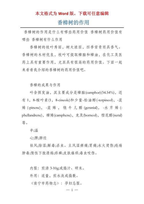 香樟树有什么作用?从行道遮荫到传统药用全解析 食用安全与毒性警示