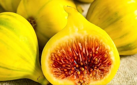 无花果最贵三个品种对比：玛斯义陶芬、波姬红与紫果的种植与选购指南