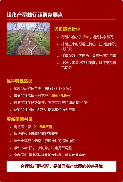 一亩地栽多少棵桃树?株行距与密度计算全攻略 不同树形对应怎样的株行距和亩栽数量?