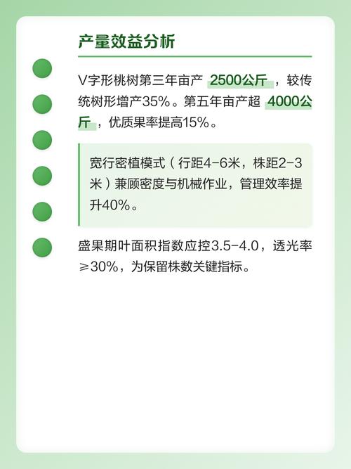 一亩地栽多少棵桃树?株行距与密度计算全攻略 还有哪些关键因素决定了实际栽植密度?