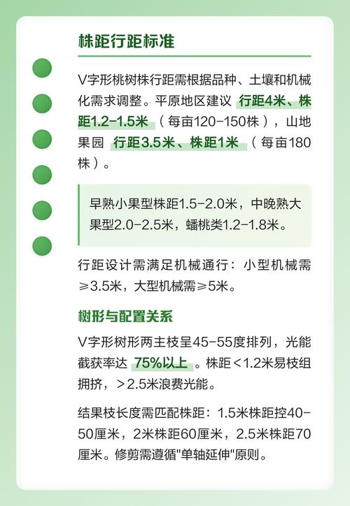 一亩地栽多少棵桃树?株行距与密度计算全攻略 栽植密度如何影响产量和果品品质?