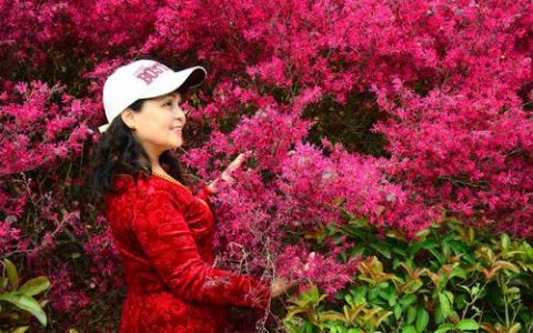 樱花花开满园——园艺种植技巧与樱花热水器厂家揭秘