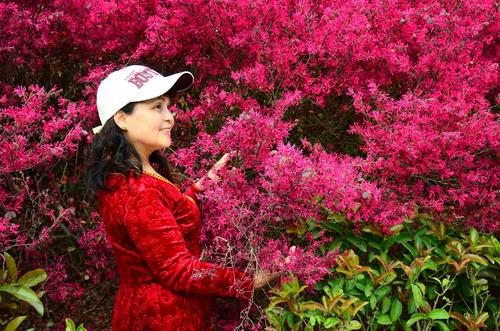 樱花花开满园——园艺种植技巧与樱花热水器厂家揭秘 一、樱花:园艺中的春日信使