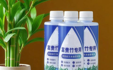 盆栽竹子施什么肥料最好？全面养护指南