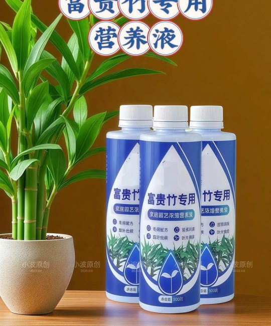 盆栽竹子施什么肥料最好？全面养护指南
