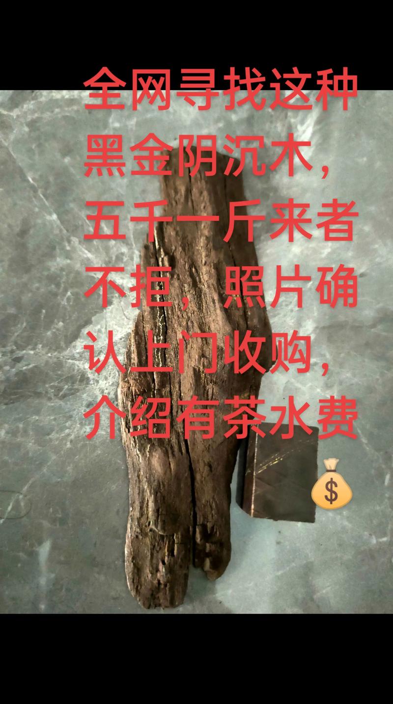 10斤重阴沉木价格是多少?材质、产地与年份影响报价 10斤重阴沉木价格是多少?材质、产地与年份影响报价