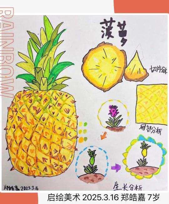 种植菠萝头怎么种？从选冠芽到成活的全步骤指南
