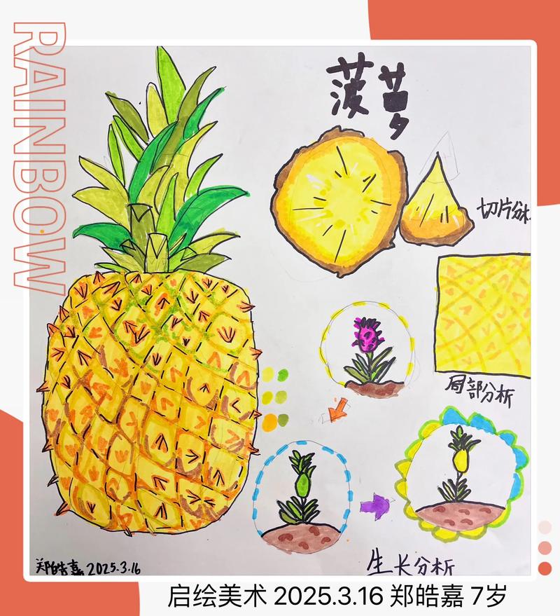 种植菠萝头怎么种?从选冠芽到成活的全步骤指南 一、适宜时间