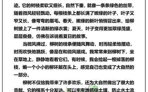 垂柳之喻：他把柳树比作什么？从文学意象到园艺美学